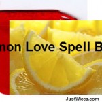 lemon love spell bag