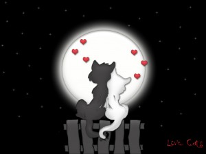 Full Moon Love Spell