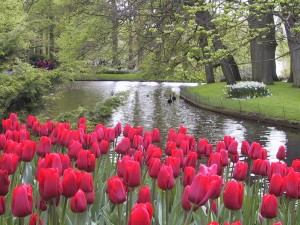 Wiccan Beltane Floralia